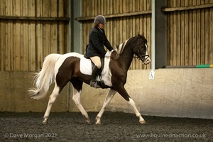 Isis Dressage Crown Farm Show 29th April 2012